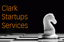 Startups Services