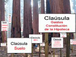 arboles-reclamacion-hipoteca-con-carteles-clausulas