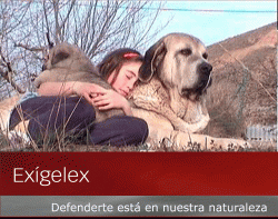 Exigelex -protegerte está en nuestra naturaleza