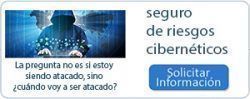 Seguro riegos cibernéticos