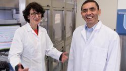Vacuna Covid-19 de Pfizer, la normalidad podría volver en la primavera