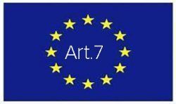 Comunicación a través de canales de denuncia interna Artículo 7 